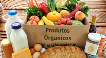 16.10.2018 produtos organicos
