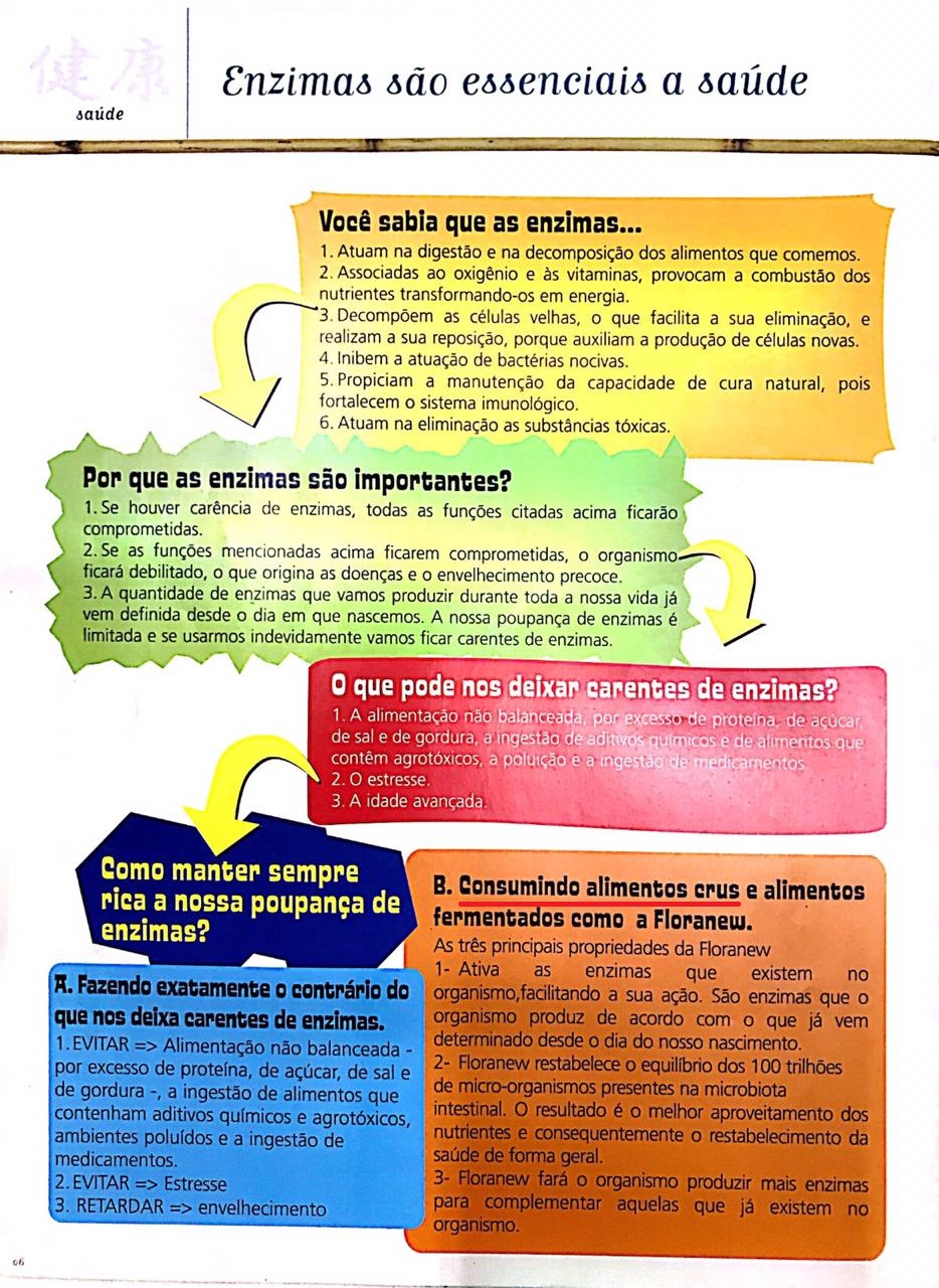 enzimas sao essenciais a saude