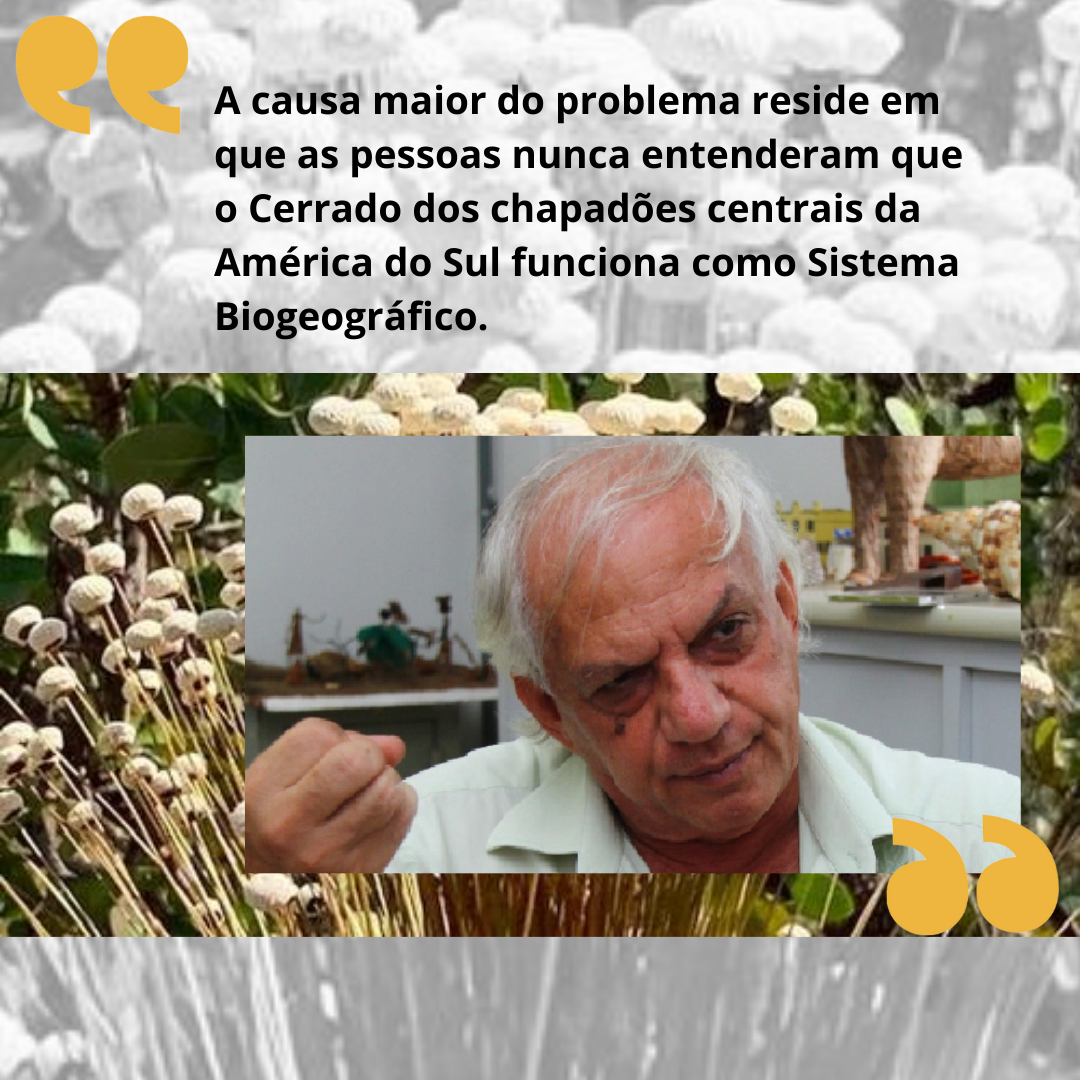 28.09.2021 POST A causa maior do problema reside em que as pessoas nunca entenderam que o Cerrado dos chapadões centrais da América do Sul funciona como Sistema Biogeográfico